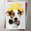 Adorable Jack Russell Birthday Card