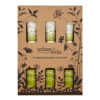 Urban Veda Purifying Complete Discovery Travel Set